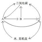 2012年江西赣州市中考生物试题与答案